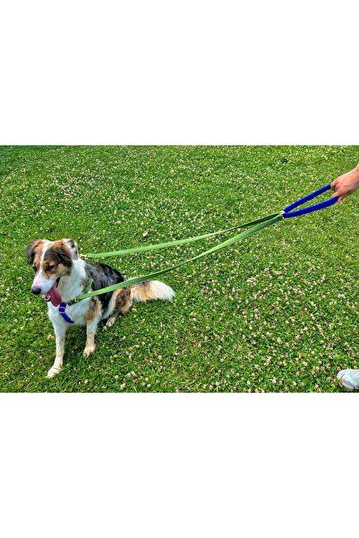 GoPawGo Charmlı Jewel Plus Dönüştürülebilir Kayış