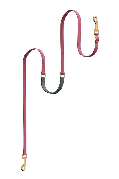GoPawGo Charmed Supreme Plus Convertible Strap