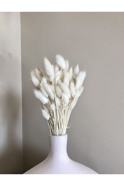 Hobigram Τεχνητό λουλούδι Shocked Cotton Grass – Ειδικό σχέδιο, Αξεσουάρ, Ποιοτική Παραγωγή, Στυλ που τραβάει τα βλέμματα – Τεχνητό λουλούδι