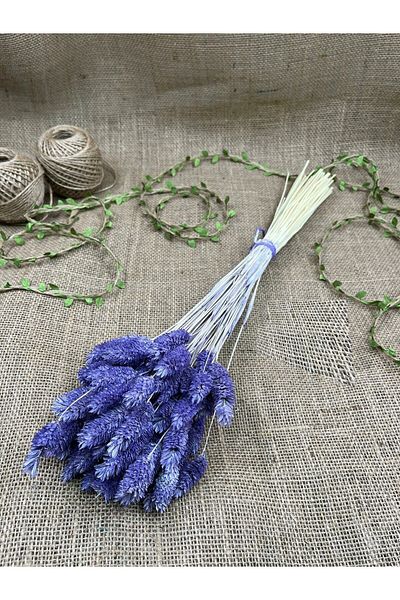 Hobigram Τεχνητό λουλούδι Lilac Bird's Eye Palaris Αποξηραμένο λουλούδι – Τεχνητό & Ξηρό Λουλούδι, Κομψό Σχέδιο – Τεχνητό Λουλούδι