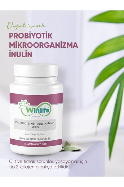 Winlife Probiotic Inulin Microorganism