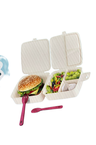 HOLLYHOME Hobby Life Lunch Box Fuchsia 15 X 16 X 9cm