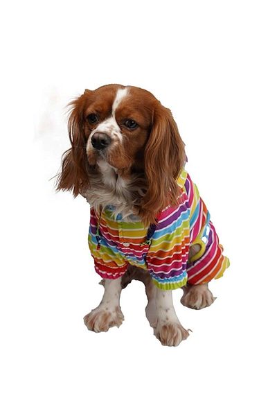Pawstar Colorum Fleece Inside Small Dog Raincoat Overalls