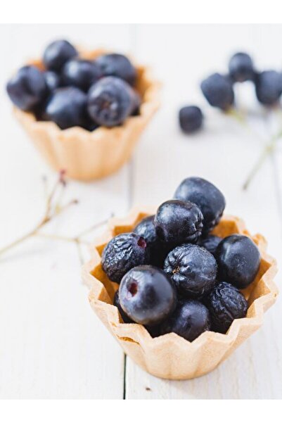 Taze Dükkan Yerli Tarım Taze Aronya 2.5 Kg