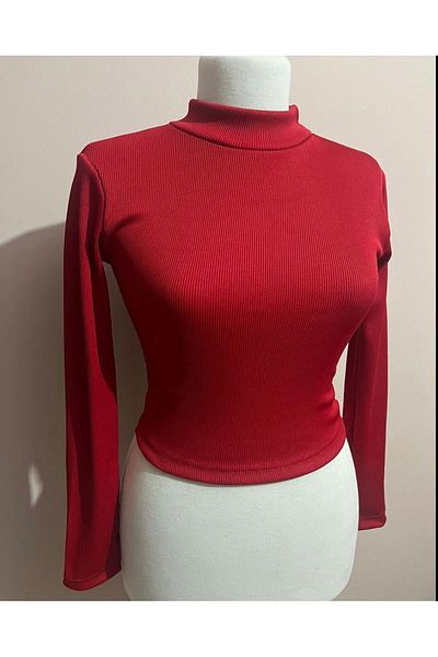 Petek Collection Long sleeve high collar crop blouse