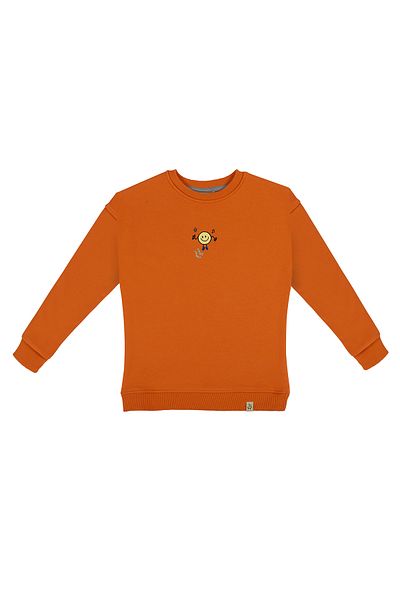 BEETLEBEEZ Kids Unisex Orange Sweatshirt