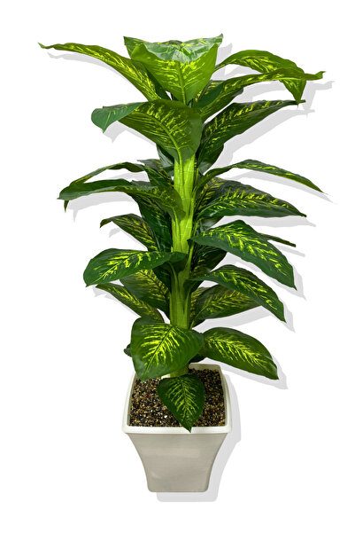 Cihan Çiçekçilik YAPAY DİFENBAHYA YAPAY AĞAÇ 170 CM BEYAZ KARE SAKSI