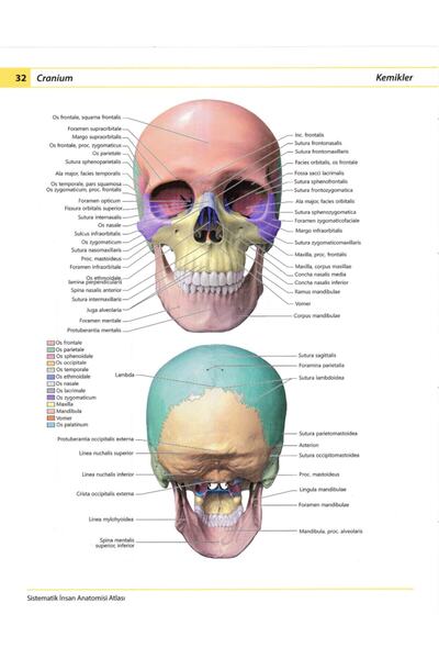 Nobel Tıp Kitabevi Sistematik Insan Anatomi Atlası Sobotta Netter Anastasi Tıp Fakültesi 1. Sınıf