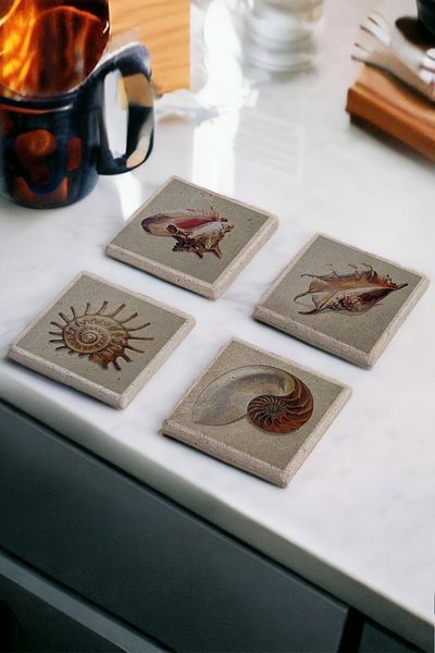 Gri Grafik Design Workshop Sea Shell Theme Uv Printed Stone Coasters Set of 4 Mod-1