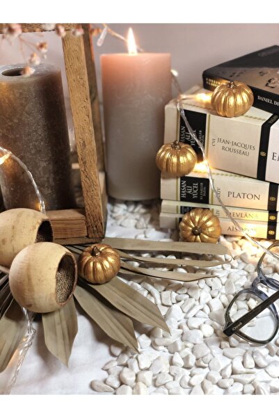 Reynes Balkabağı Dekor 4 Adet Beton Kabak Obje Biblo Balkabağı Süs Dekorasyon