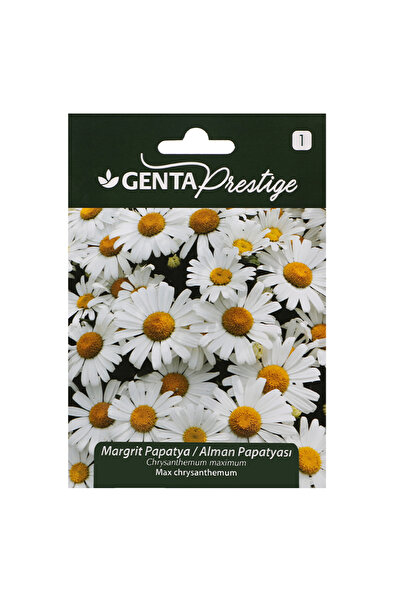 Genta Prestige Çiçek Tohumu Margrit Papatya - Alman Papatyası