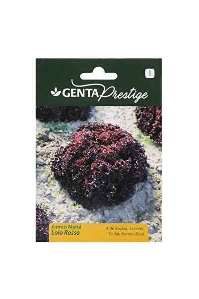 Genta Prestige Sebze Tohumu Kırmızı Marul - Lolo Rosso