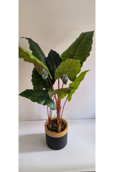 RUZGARCİCEK Rüzgar Yapay Çiçekçilik 160 cm Fil Kulağı Ağacı