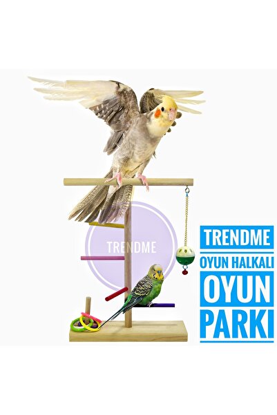 UniqBirdToys مجثم الطيور السائبة مع حلقة لعب تريندمي (السلطان، السماء، الحب، ...