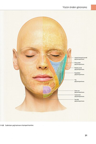 Quintessence Yayıncılık Baş Boyun Yüz Resimli Klinik Anatomi Atlası 2. Baskı
