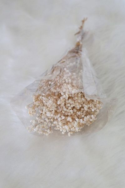 Hobigram Τεχνητό λουλούδι Dry Flower Shocked Cipso Natural – Τεχνητό & Ξηρό Λουλούδι, Κομψό Σχέδιο, Γυναικείο Αξεσουάρ – Y