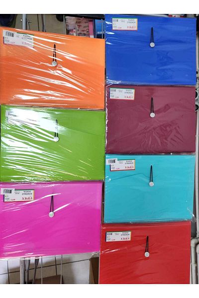 VİPEX Falcontelli File Plastic Blue A4 50''