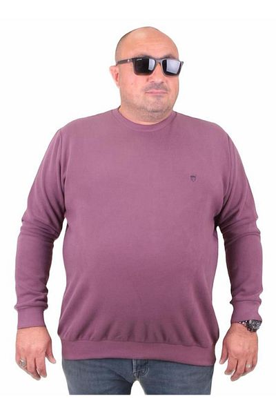 Starbattal Μεγάλο μέγεθος Thessaloniki Classic Sweat 23200 Lilac