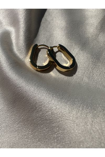 sorella Accessory Oval Cut Gold Steel Earrings
