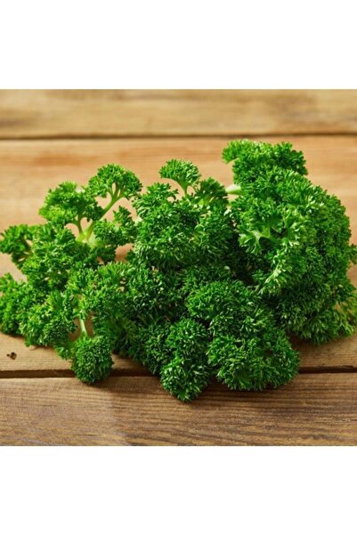 Tohumcumm 50 Adet Tohum Nadir Organik Hobi Balkon Nanesi Organik Kıvırcık May...