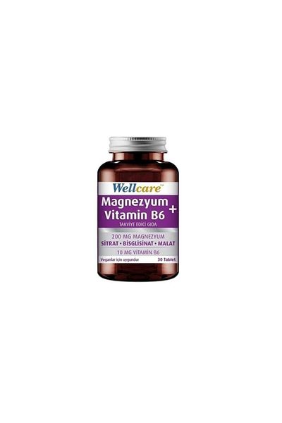Wellcare Magnesium + Vitamin B6 Containing Food Supplement 30 Tablets