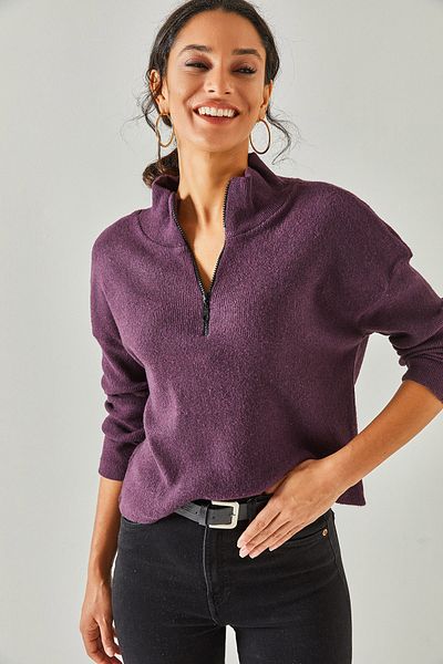 Olalook Pflaumenfarbener Pullover mit Kapuze und Reißverschluss für Damen, Stehkragen, KZK-19000640