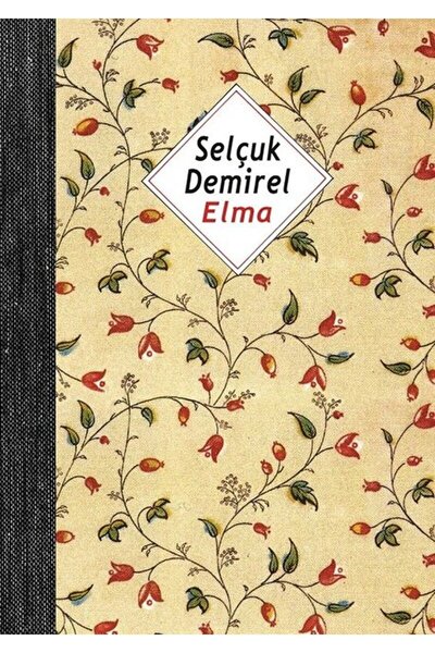 Metis Yayınları Elma (Defter) / Selçuk Demirel / Metis Yayınları / 9786053161035