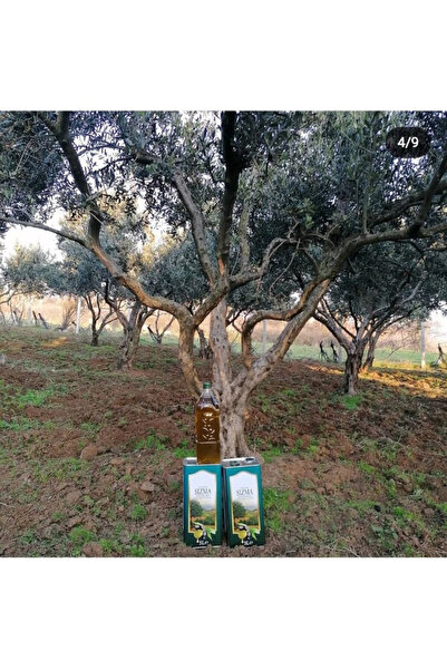 Topraktan Organik NATUREL SIZMA 5 litre