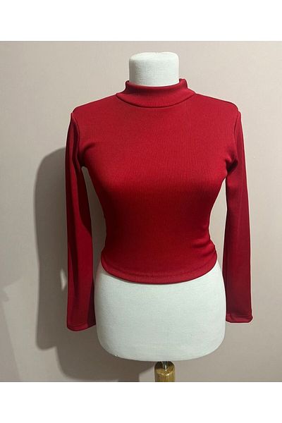 Petek Collection Long sleeve high collar crop blouse