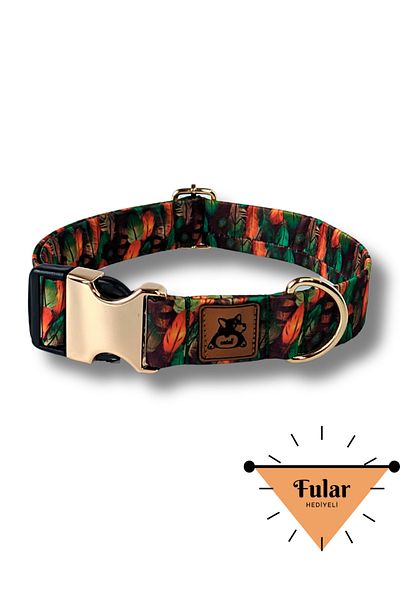 UTDpet Peacock Dog Collar Large