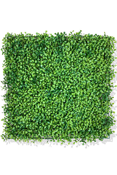 Cihan Çiçekçilik U.V DAYANIMLI YAPAY ŞİMŞİR BİTKİ DUVAR KAPLAMA 50X50 CM YEŞİL