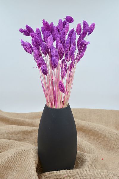 Dekora Çiçek Palaris Flower - Αποξηραμένο Bird's Foot, Μωβ, 50 κλαδιά