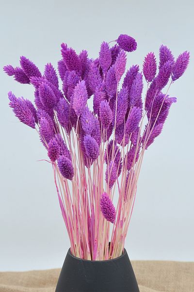 Dekora Çiçek Palaris Flower - Αποξηραμένο Bird's Foot, Μωβ, 50 κλαδιά