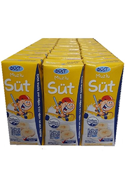 Dost SÜT MUZLU 200 ML 27 Lİ PAKET
