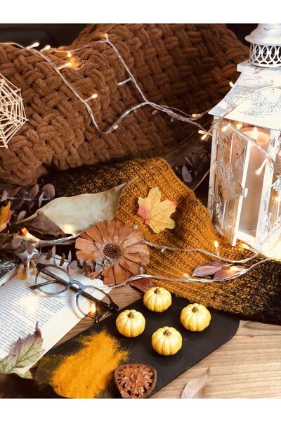 Reynes Balkabağı Dekor 4 Adet Beton Kabak Obje Biblo Balkabağı Süs Dekorasyon