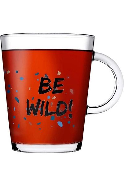 Paşabahçe 55243 Terazzo 385cc Set of 2 Be Wild Glass Mug Set
