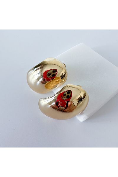 CHARMLUCKY Steel Earrings