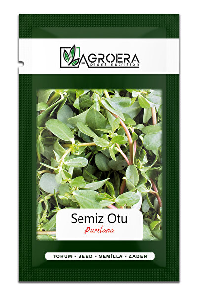 AGROERA 6.000 Adet Semizotu Tohumu