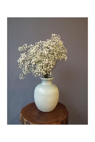 Hobigram Τεχνητό λουλούδι Dry Flower 1ης ποιότητας Shocked Non-Shedding Natural White Cipso Bunch – Τεχνητό λουλούδι ντεκόρ