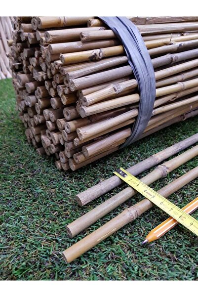 Ekodoğa Bambu Çubuk 10 Adet  Bambu Çubuğu Bambu Çubukları Bitki Destek Çubuğu