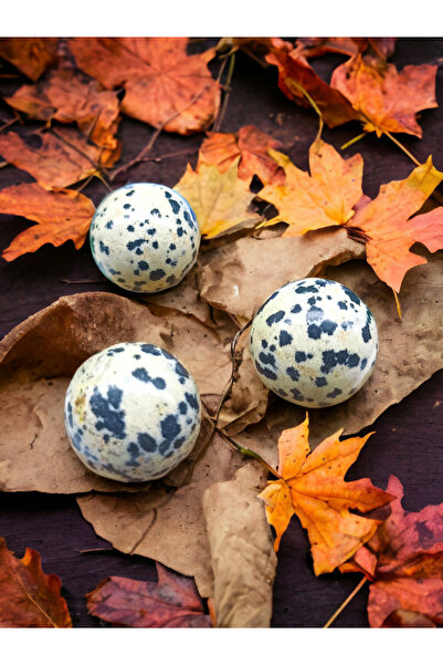 DOĞAL TAŞ CENNETİ BENEKLİ JASPER DOĞAL TAŞ KÜRE MİNİ BOY(SERTİFİKALI)