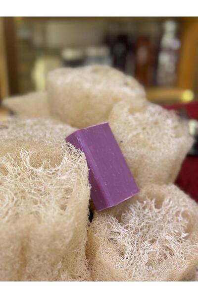 AKTAR Kabak Lifi Ham