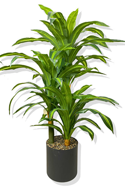 Cihan Çiçekçilik DRACAENA FRAGRANS 3 GÖVDE YAPAY AĞAÇ 160 CM SİYAH 30X30 GALV...