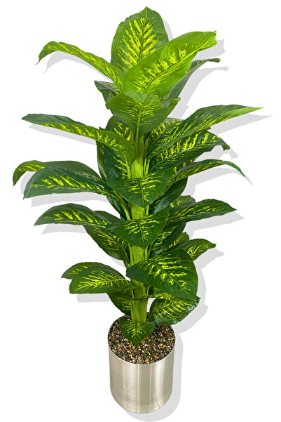 Cihan Çiçekçilik YAPAY DİFENBAHYA YAPAY AĞAÇ 170 CM 30X30 GALVANİZ SAKSI