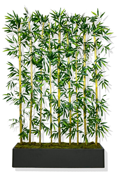 Cihan Çiçekçilik BAMBU SEPERATÖR 180 CM 9 ADET BAMBU 100 CM ANTRASİT SAKSI