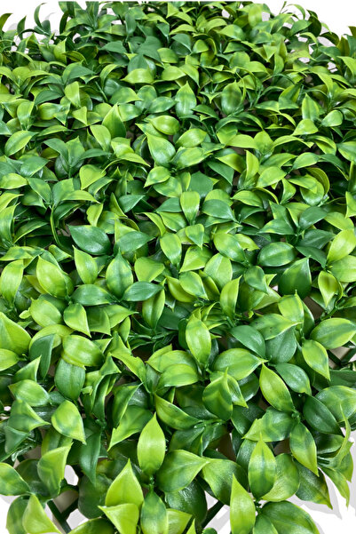 Cihan Çiçekçilik YAPAY AÇIK YEŞİL LİMON YAPRAĞI BİTKİ DUVAR KAPLAMA 50X50 CM