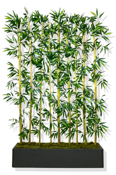 Cihan Çiçekçilik BAMBU SEPERATÖR 200 CM 9 ADET BAMBU 100 CM ANTRASİT SAKSI