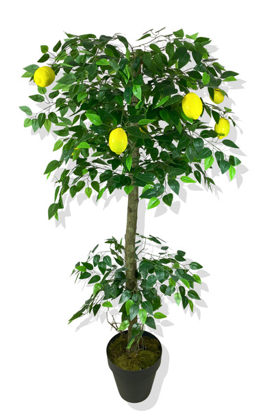 Cihan Çiçekçilik Limon Ağacı 160 Cm Yapay Ağaç Üretim Saksısı