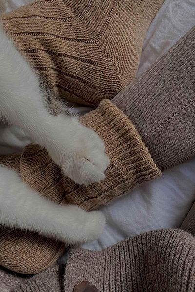 Aytuğ Unisex Alpaca Wool Winter Socks 2-Piece - 3095 B/k