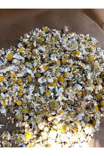 neşe natural Chamomile Dried 100 gr